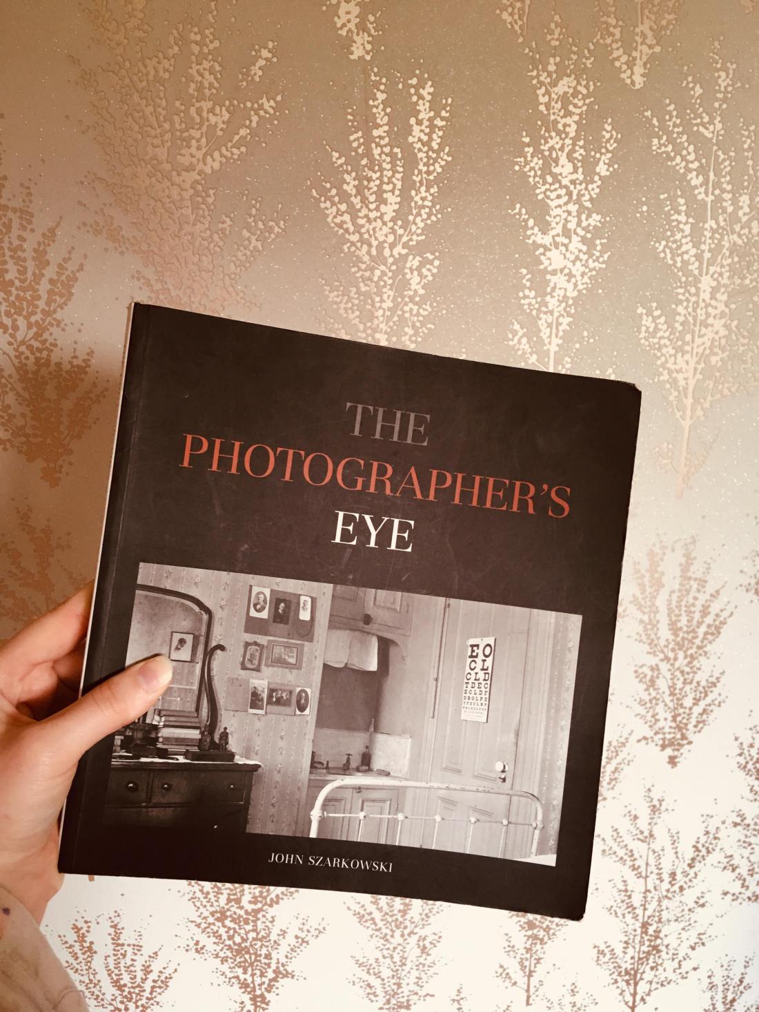 56466311_422657501643919_5627054611194970112_n